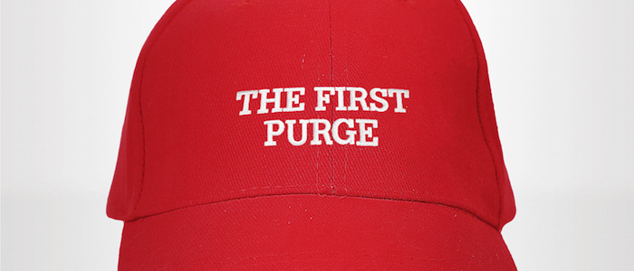 the first purge