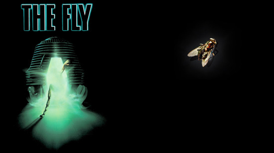 The Fly comic book