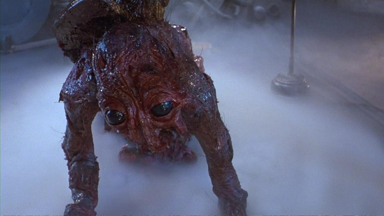 Seth Brundle, as a fly monster in The Fly