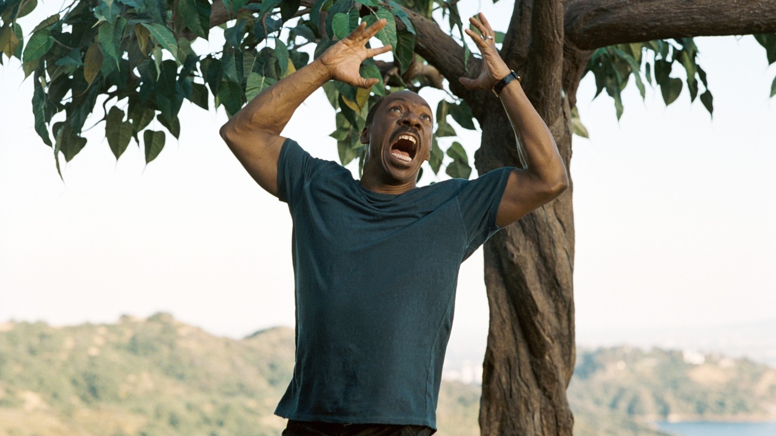 The Forgotten Eddie Murphy Comedy With A 0% Rotten Tomatoes Score