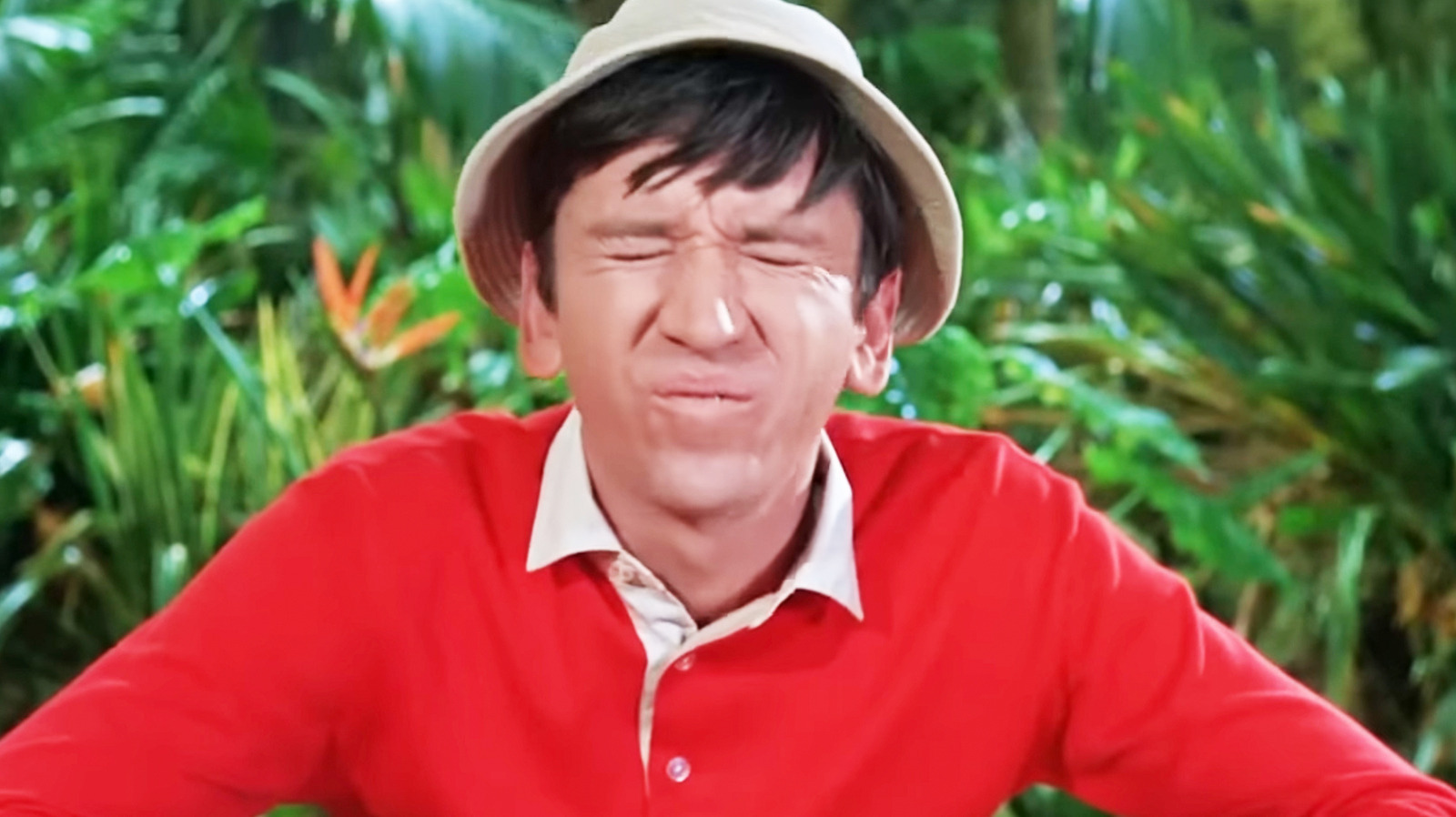 The Gilligan's Island Set Was Cleverly Reused In This Hilarious '60s Sitcom image