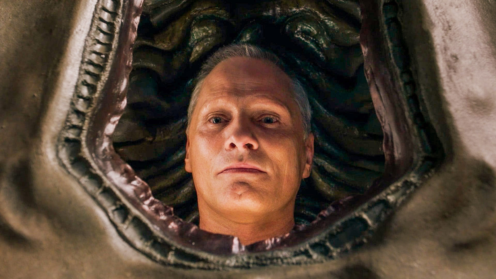 The Grossest Body Horror Moments In David Cronenberg's Films