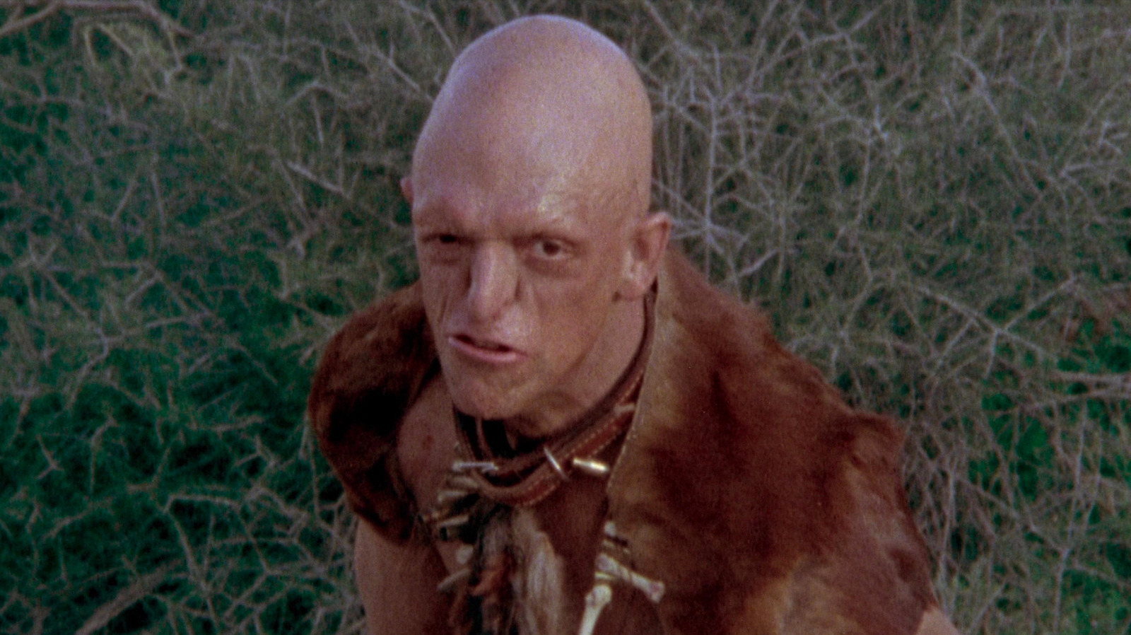 The Hills Have Eyes Movies Ranked From Worst To Best