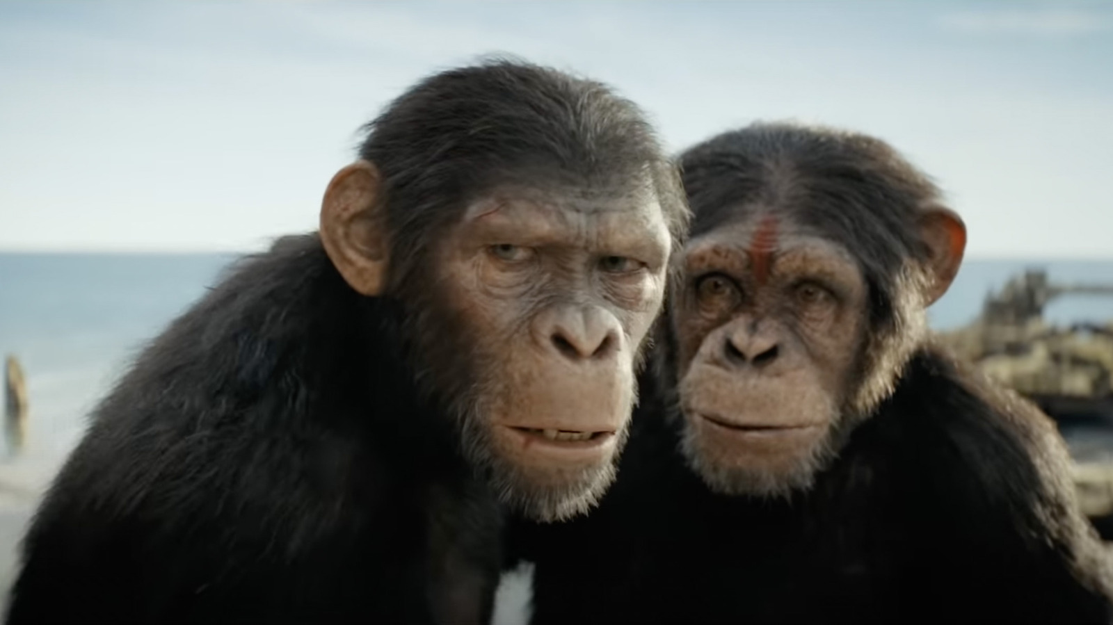 The Internet Has Forever Ruined Super Bowl Movie Trailers