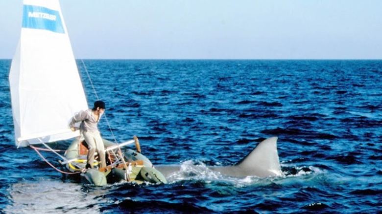 Jaws 2 Sailboat Keith Gordon