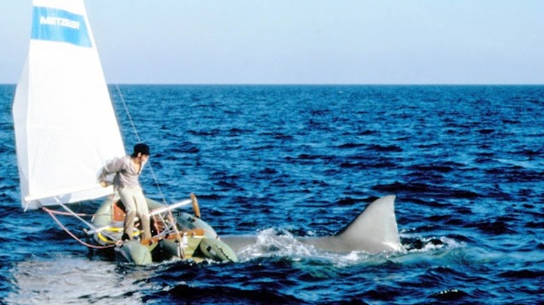 Jaws 2 Sailboat Keith Gordon