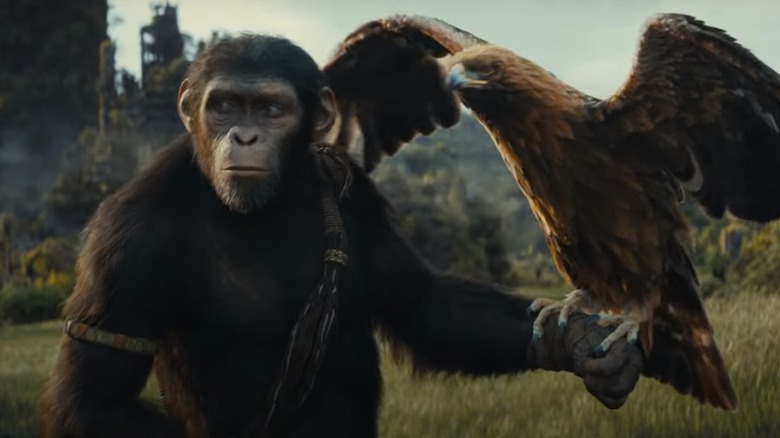 Kingdom of the Planet of the Apes teaser 