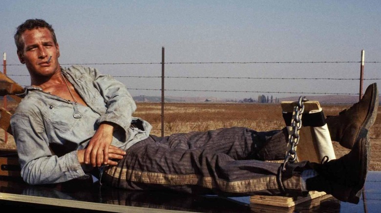 Paul Newman Cool Hand Luke