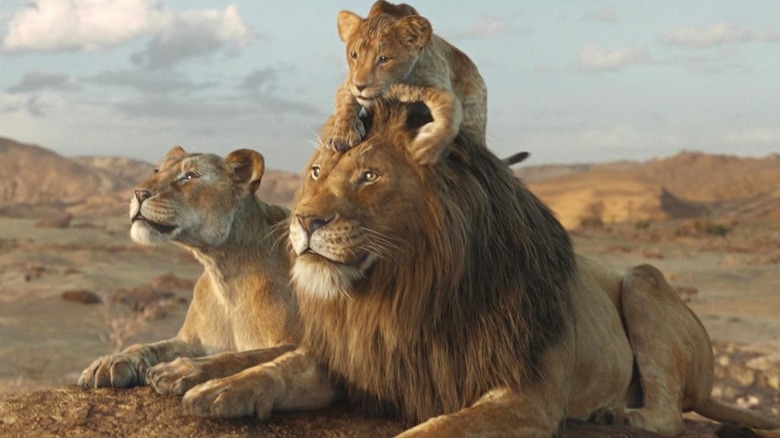 Afia and Masego sit outside with Mufasa sitting on Masego's head in Mufasa: The Lion King