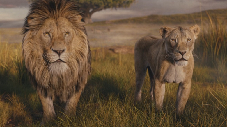 Obasi and Eshe stand outside together in Mufasa: The Lion King
