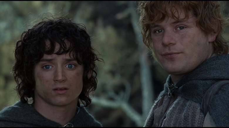 Elijah Wood and Sean Astin in The Lord of the Rings: The Return of the King