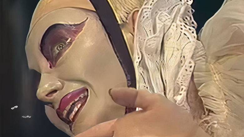 Close up of a Cirque du Soleil-esque barrow white in Khraniteli