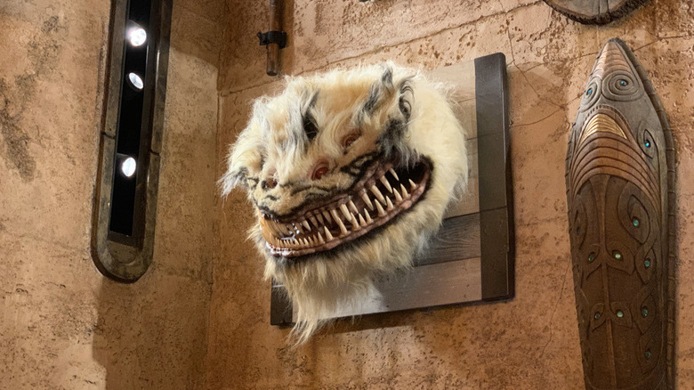 A Nexu Head Trophy at Dok Ondar's in Star Wars: Galaxy's Edge