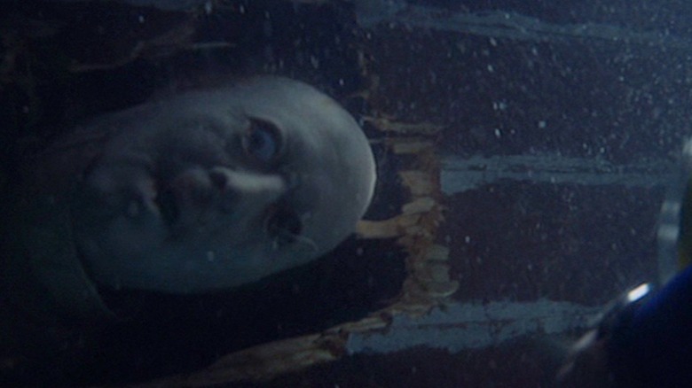 Ben Gardner's head in Jaws