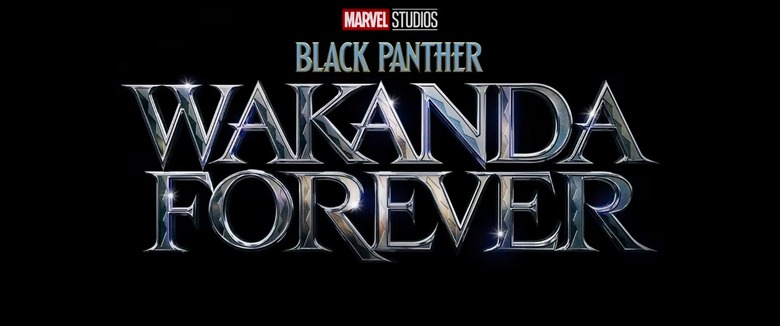 black panther wakanda forever logline