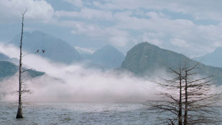 The mist in The Mist