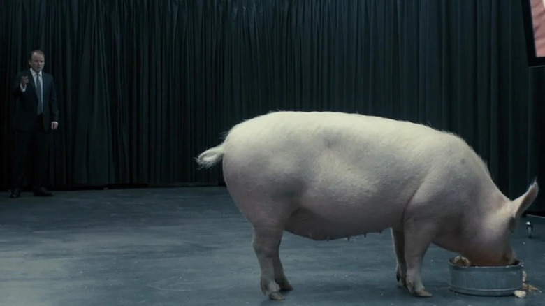 Rory Kinnear's Prime Minister Michael Callow looking at a pig on Black Mirror