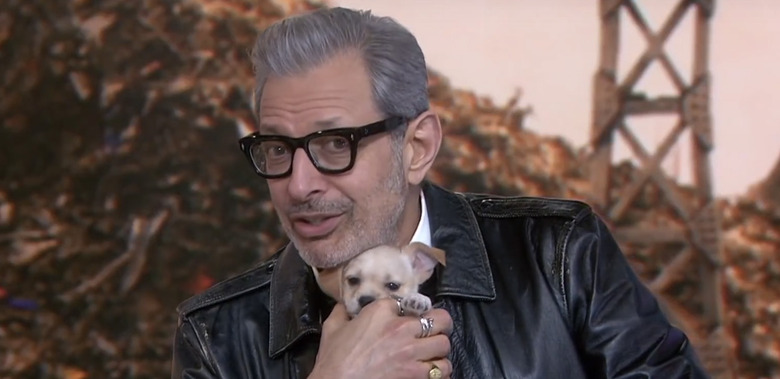 Jeff Goldblum Plays with Puppies