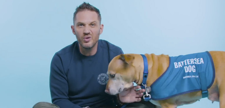 Tom Hardy Dogsits