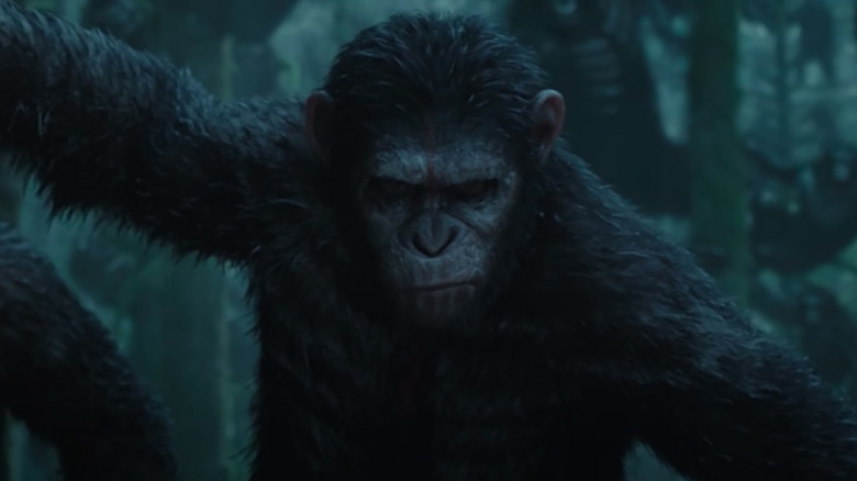 Caesar in Dawn of the Planet of the Apes