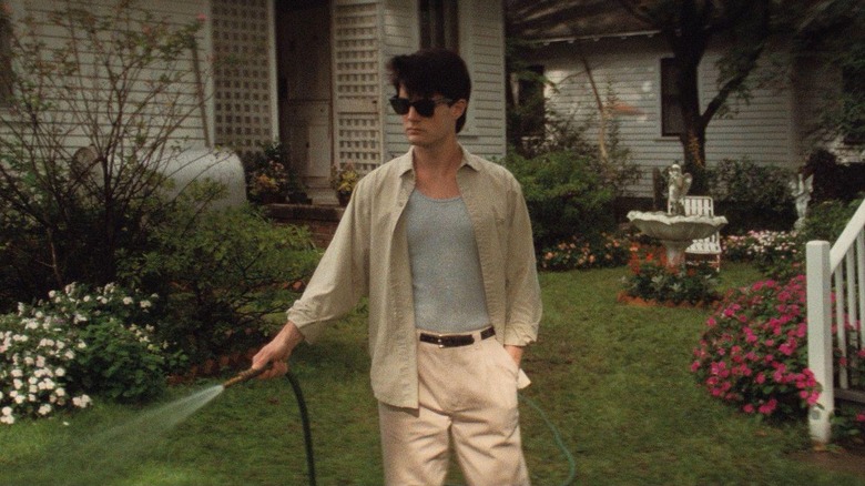 Jeffrey spraying the yard