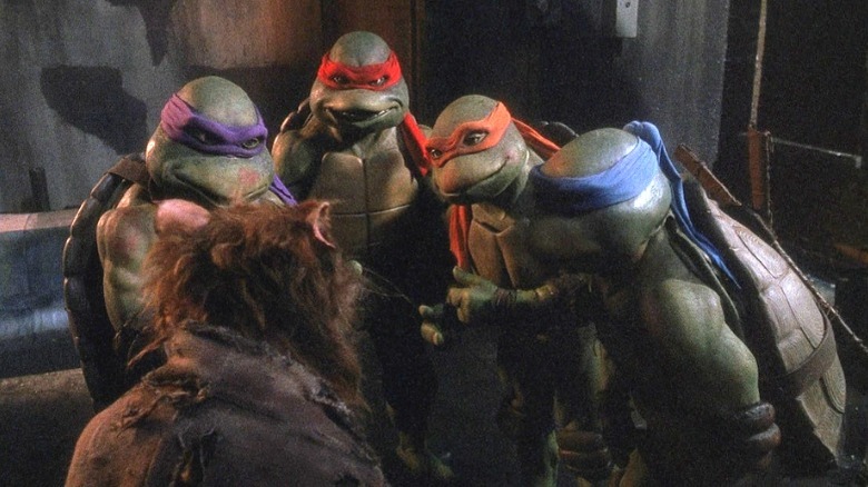 The Ninja Turtles