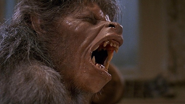 David Kessler transforming in An American Werewolf in London