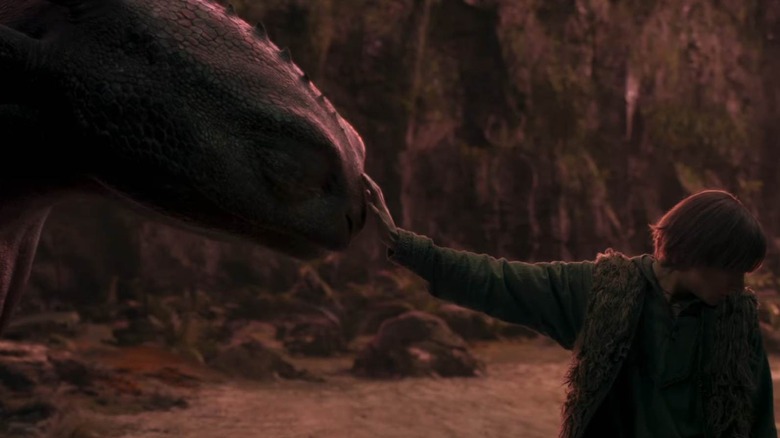 Hiccup touching Toothless
