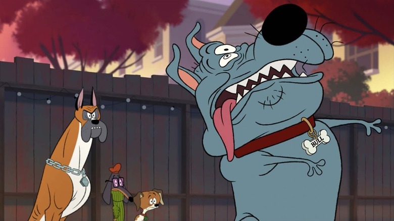 Rocco, Fetch, Lucky, and Bull in Fixed