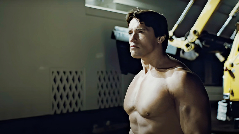 Arnold Schwarzenegger The Terminator