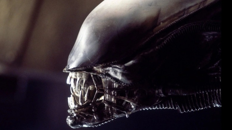 Alien Xenomorph head