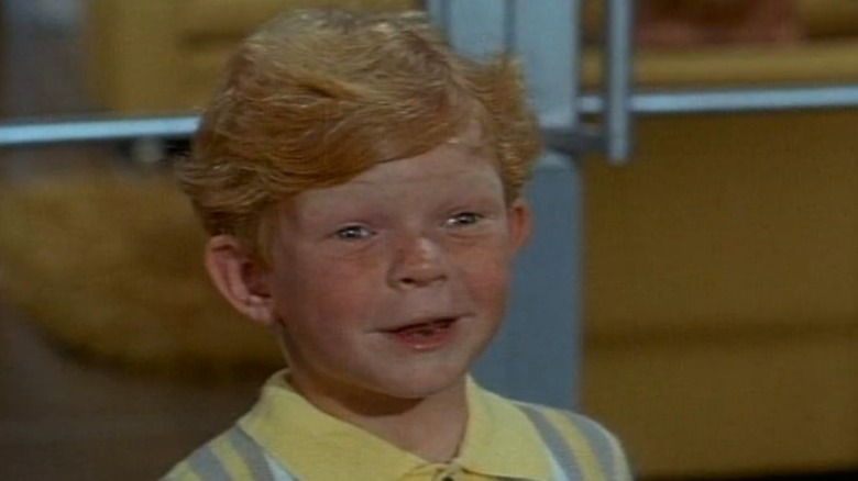 Johnny Whitaker, Family Affair