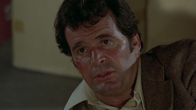 James Garner, Os Arquivos Rockford