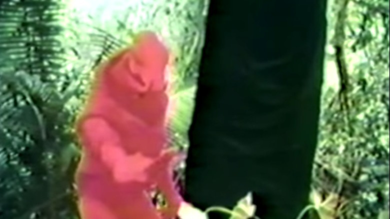 footage of red Predator suit