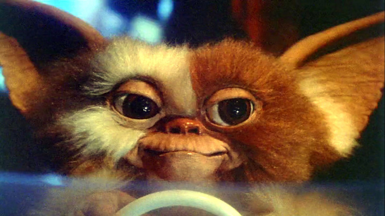 Gizmo driving a toy car in Gremlins