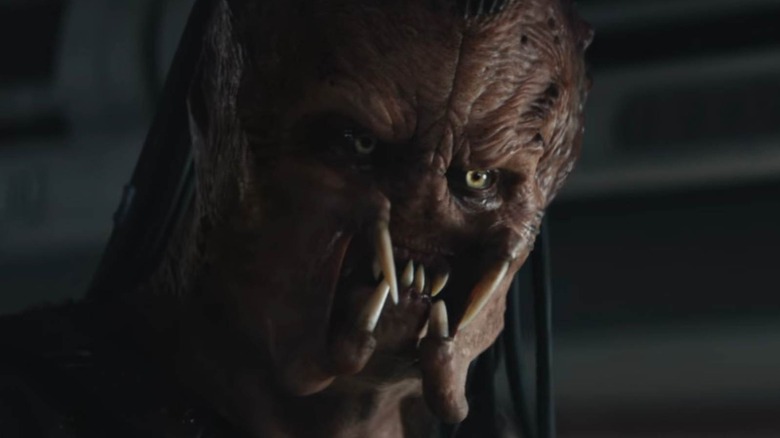 Predator facing forward
