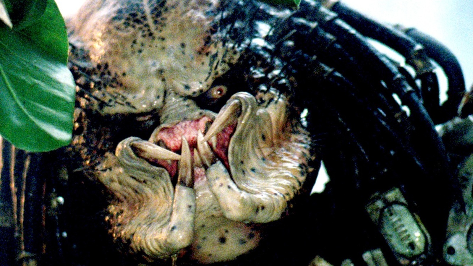 The Predator's Most Famous Feature Came From The Mind Of James Cameron