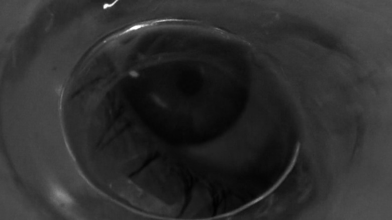 A shower drain dissolved into a dead eye