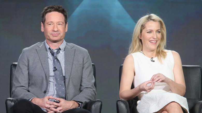 david duchovny and gillian anders in 2015