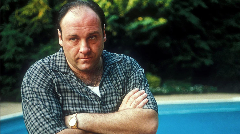 James Gandolfini in The Sopranos