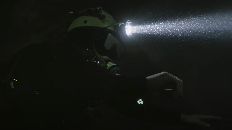 The Rescue diver