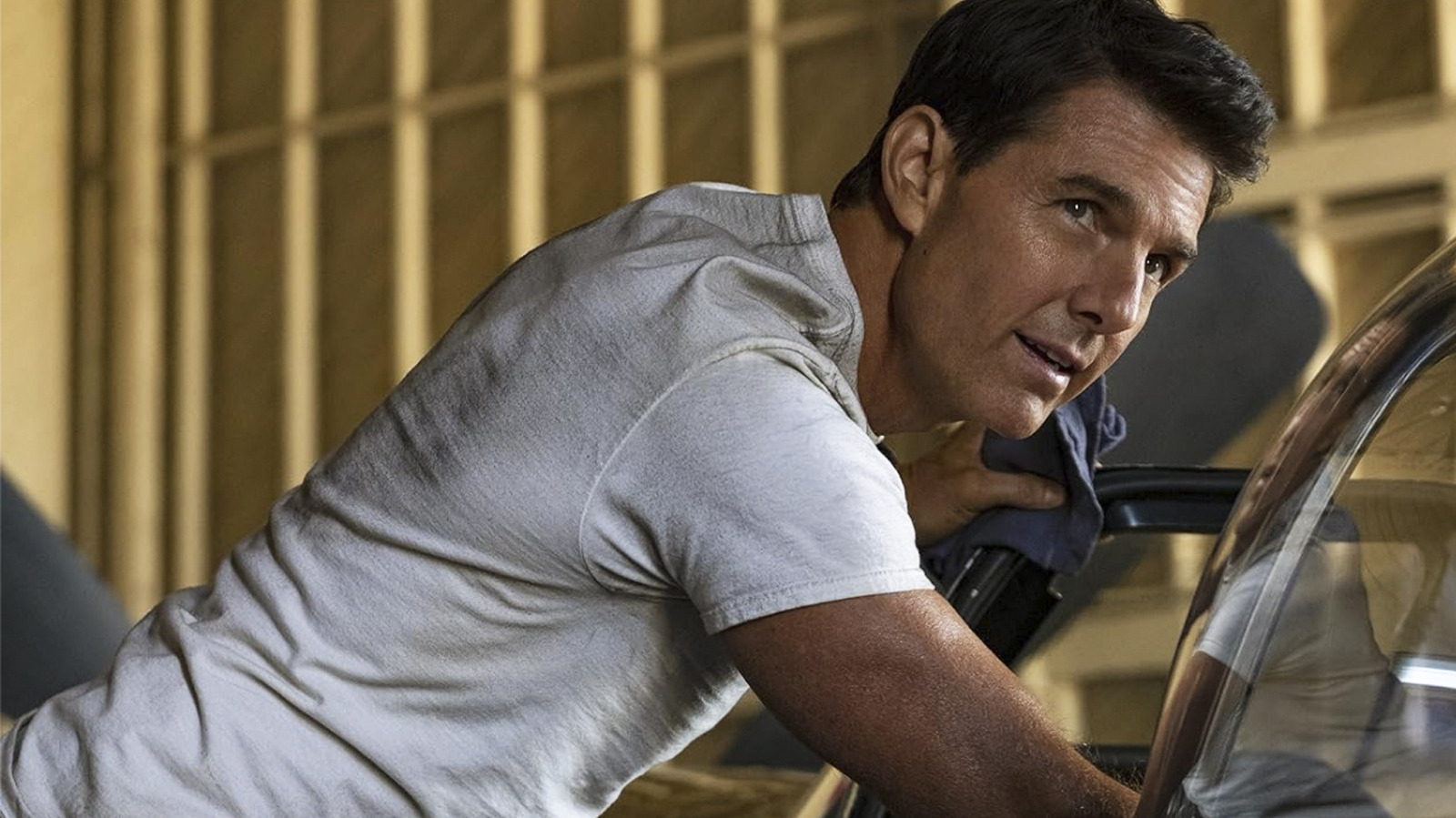 The Revenant Director Is Teaming Up With Tom Cruise For A Top Secret Movie - Vimarsana News