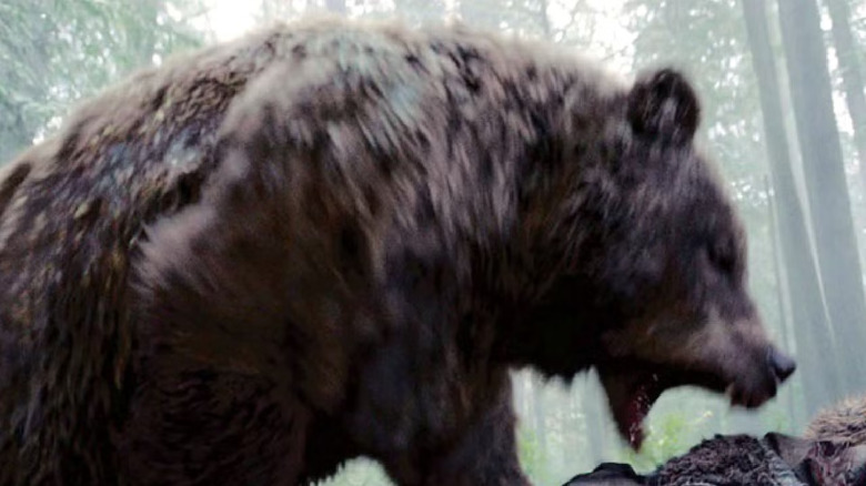 A bear attacking Hugh Glass in The Revenant.
