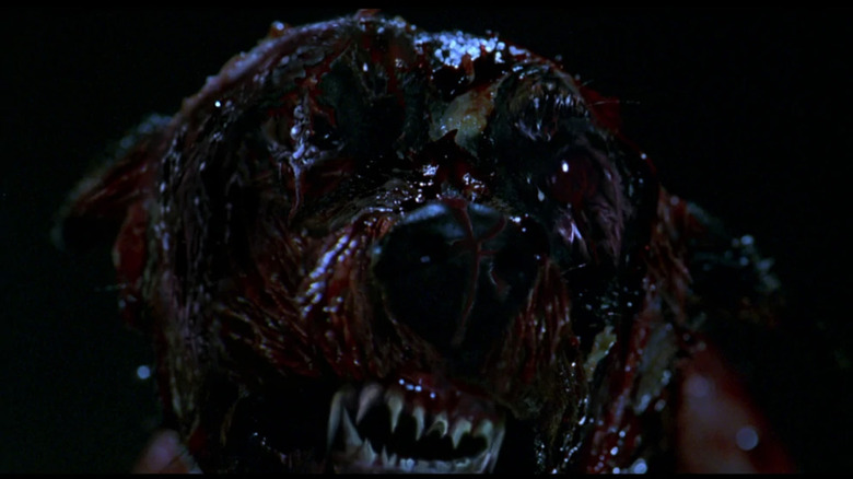 A Cerberus in Resident Evil (2002)