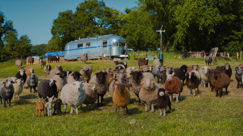The sheep on George's farm are on the case in The Sheep Detectives