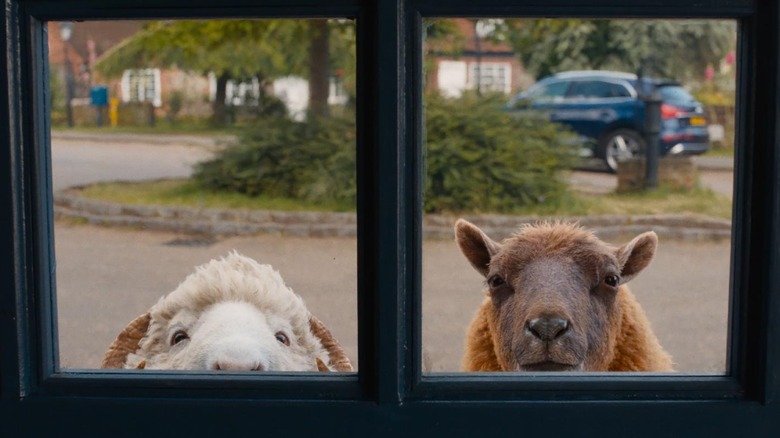 Mopple and Lily peek inside a window for clues in The Sheep Detectives