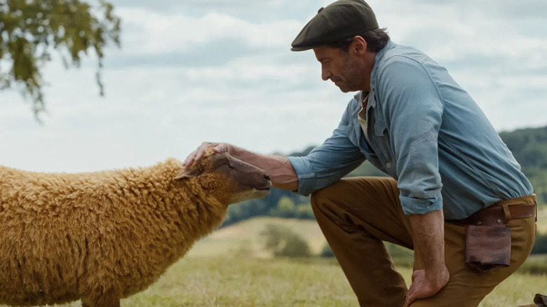 George gives Lily a loving pat in The Sheep Detectives