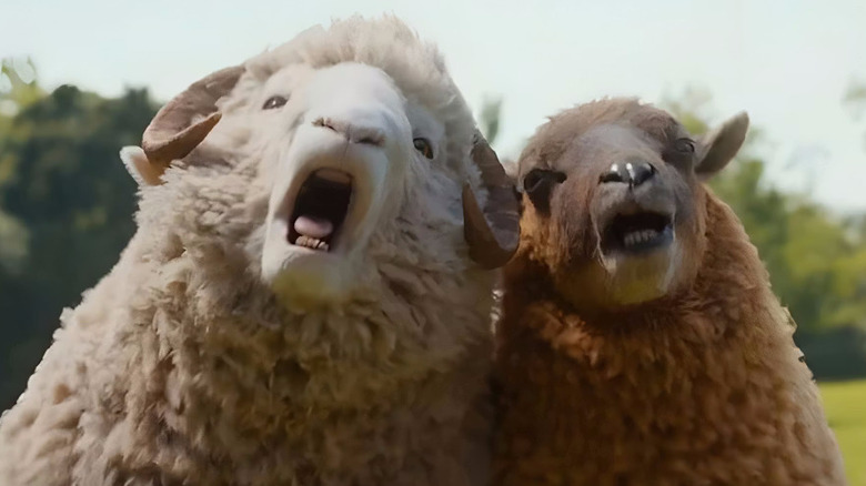 Mopple and Lily got the bleat in The Sheep Detectives