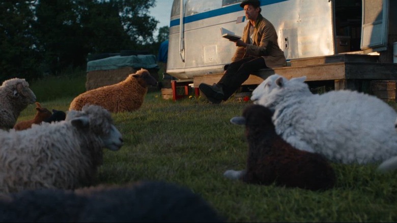 George reads to his flock in The Sheep Detectives