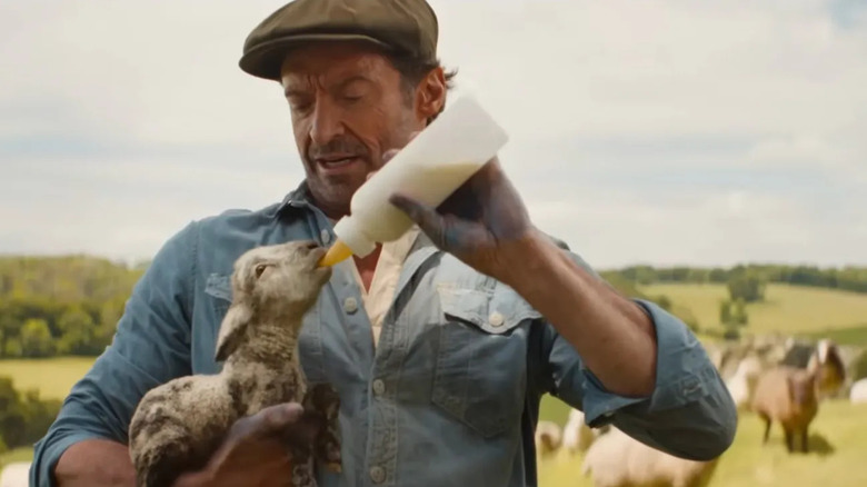 George feeds an outcast sheep in The Sheep Detectives
